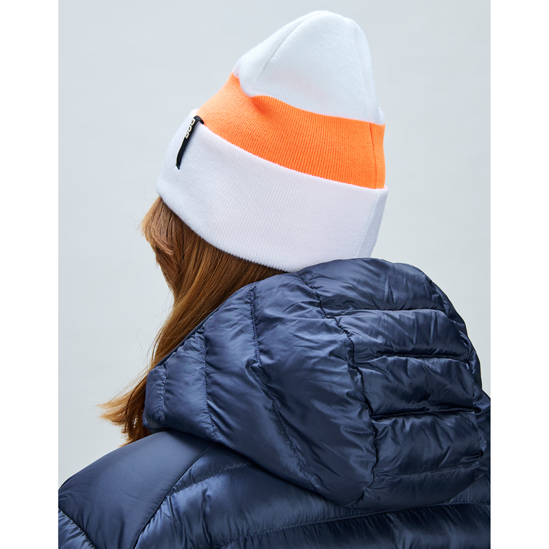 10202301A.png
