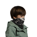 19800955B.png