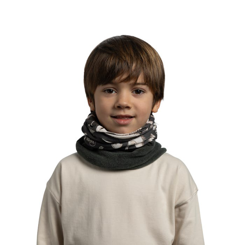 19800955C.png