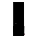 19800962A.png