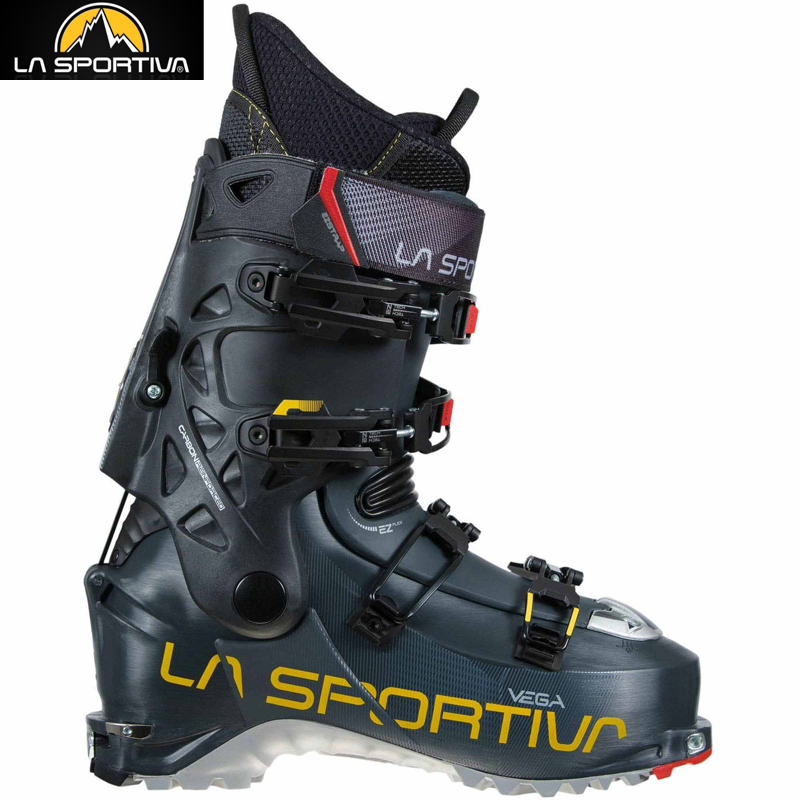 Vega Carbon