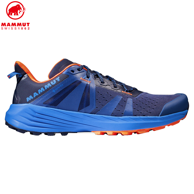 Saentis TR Low GTX