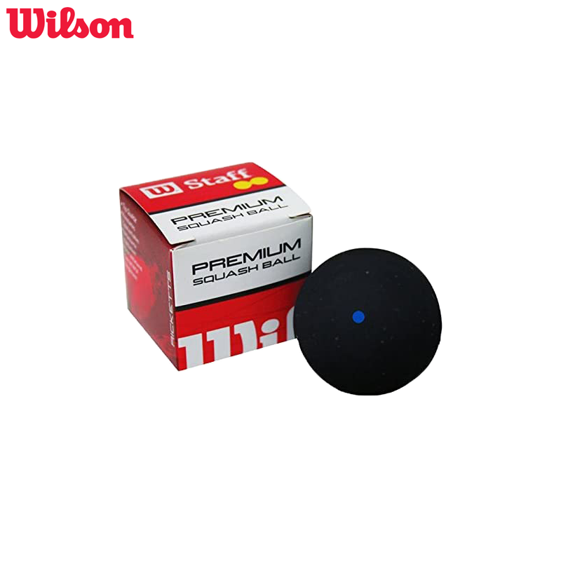 STAFF SQUASH BALL BLUE DOT