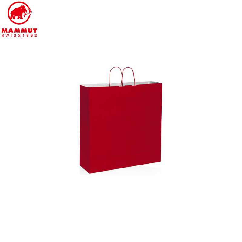 Standard Shopping Bag L 54x14x40cm