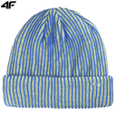 Unisex Cap U625