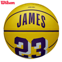 NBA Player Icon Mini LeBron James SZ3