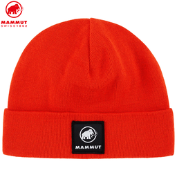 Fedoz Beanie