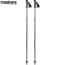 Ski Pole R CARBON - COMFORT