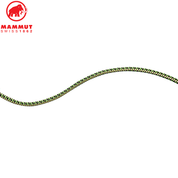 Accessory Cord