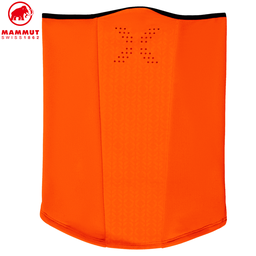 Eiswand Neck Gaiter