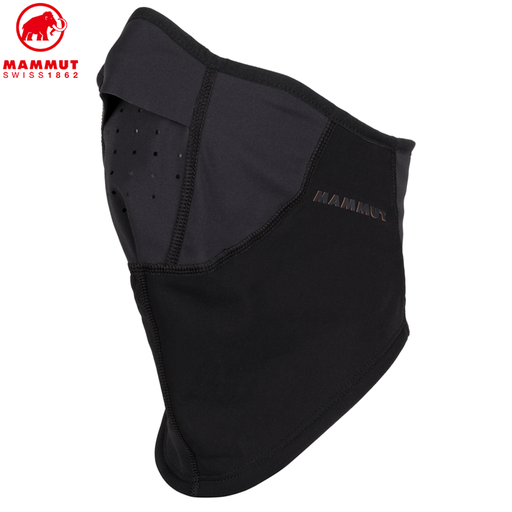 Mask Arctic WS