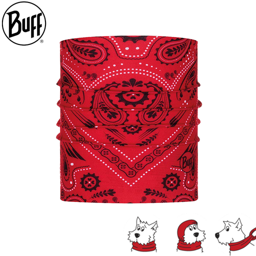 DOG NEW CASHMERE