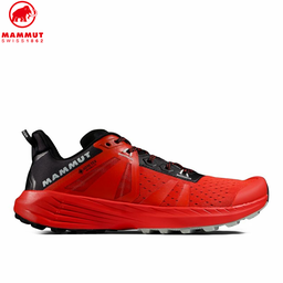 Saentis TR Low GTX
