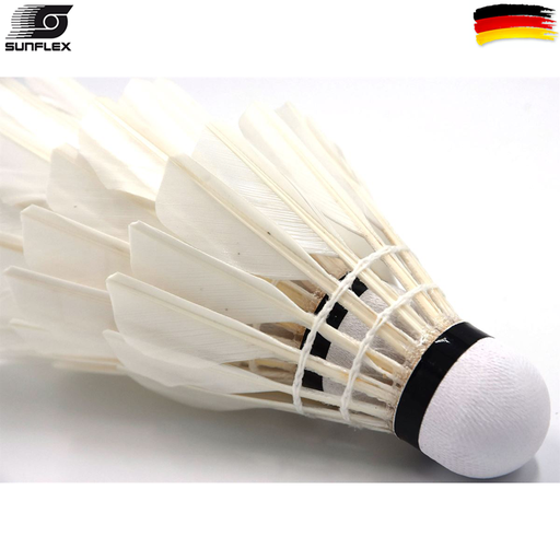 Badmintonball, PRO 6, 6 pcs plastic dose