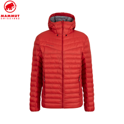Albula IN Hooded Jacket Men