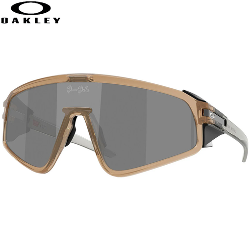 Latch Panel DL Sepia Frame