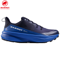 Aenergy Hike Low GTX Men