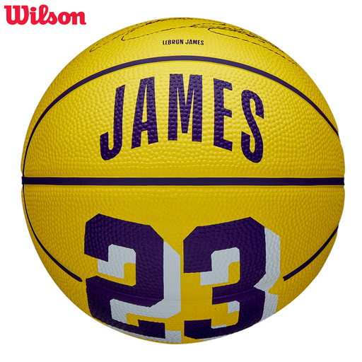 NBA Player Icon Mini LeBron James SZ3