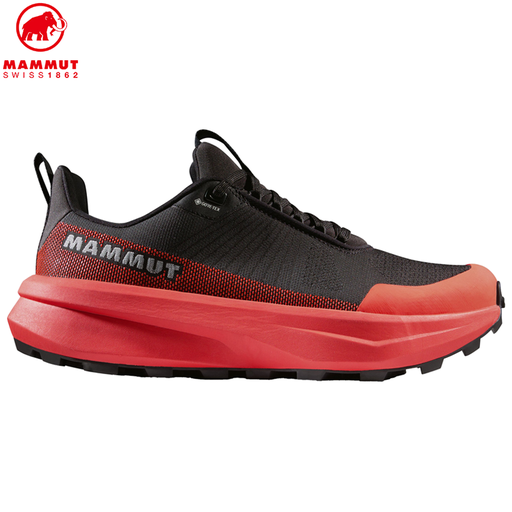 Aenergy Mtn Low GTX Men