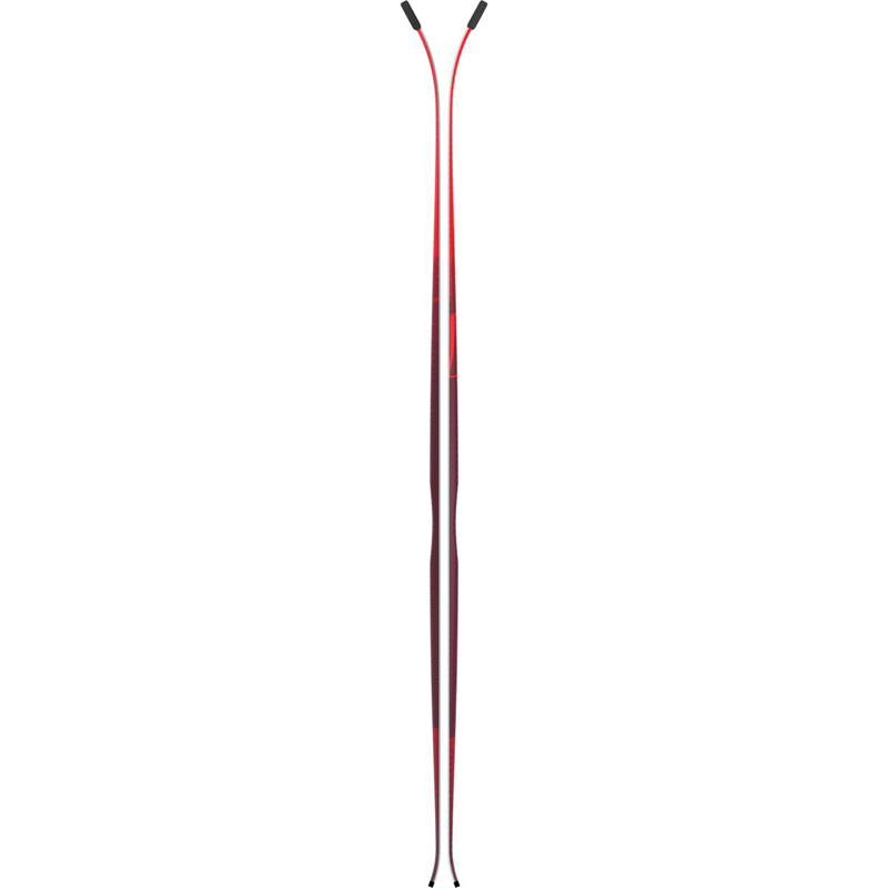 10104032D.png