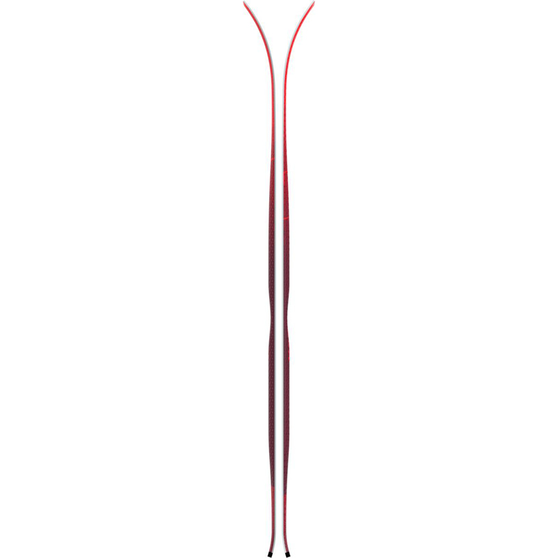 10104035D.png