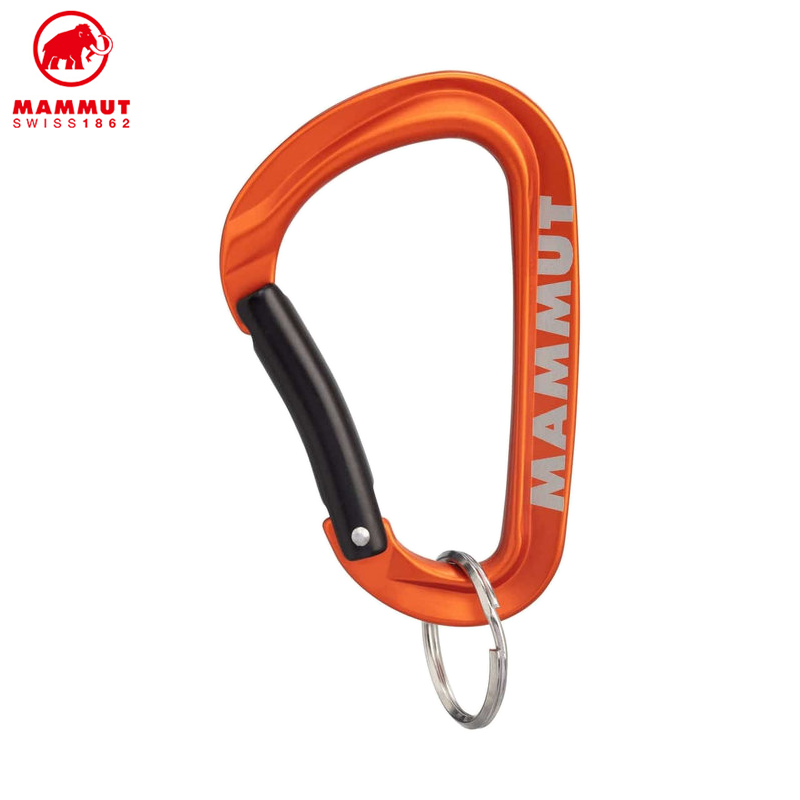 Mammut Mini Carabiner Workhorse Keylock