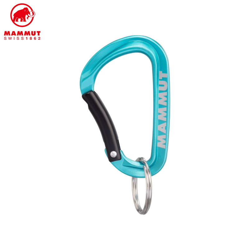 Mammut Mini Carabiner Classic Keylock S