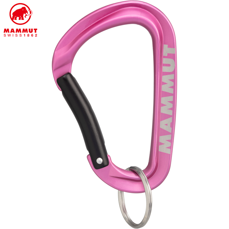 Mammut Mini Carabiner Workhorse Keylock L