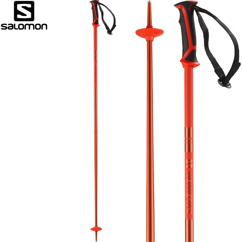 POLES ARCTIC