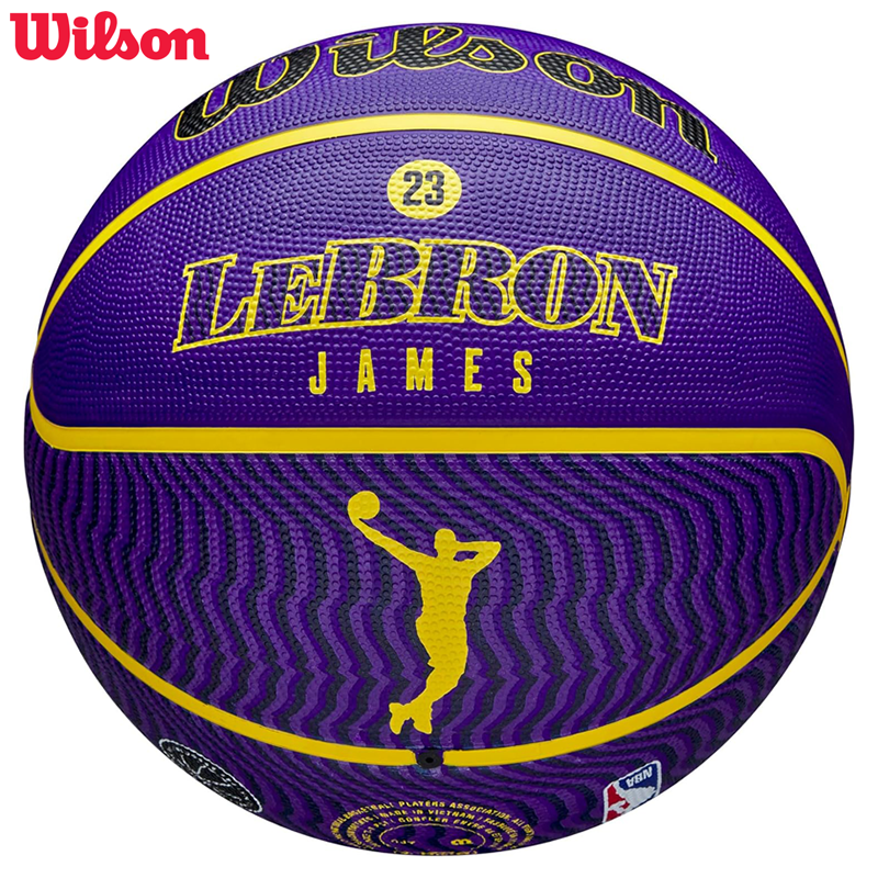 NBA PLAYER ICON OUTDOOR BSKT LEBRON NE 7