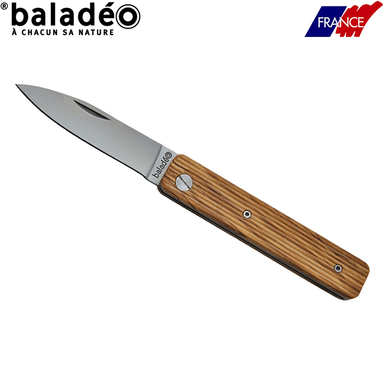 Folding paring knife 'Papagayo', olive tree wood