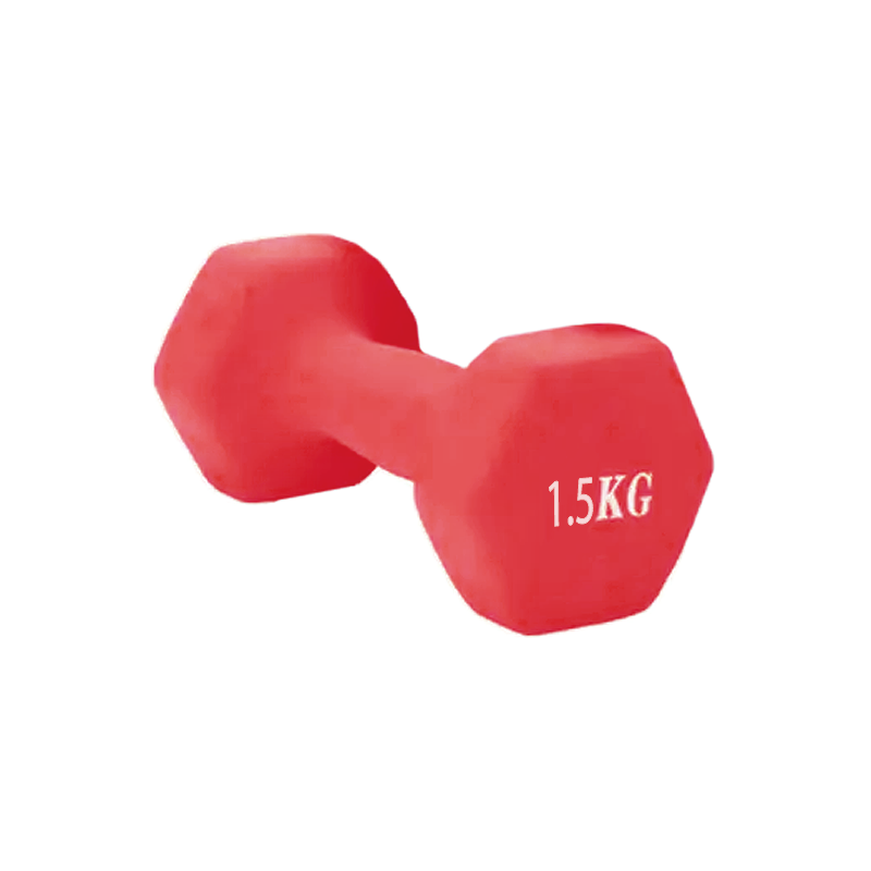 Hand Weight 1.5 KG
