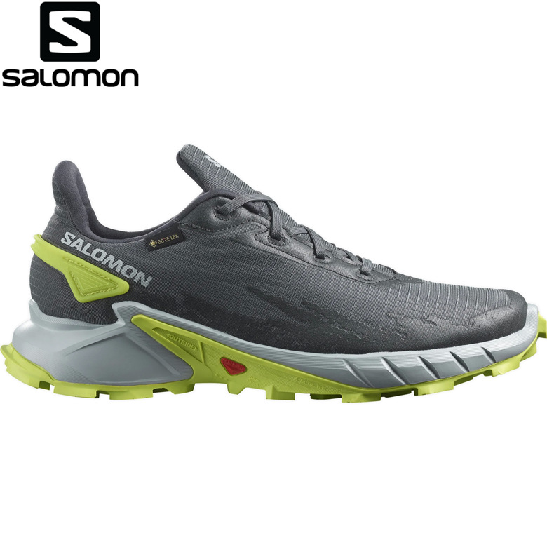 SHOES ALPHACROSS 4 GTX