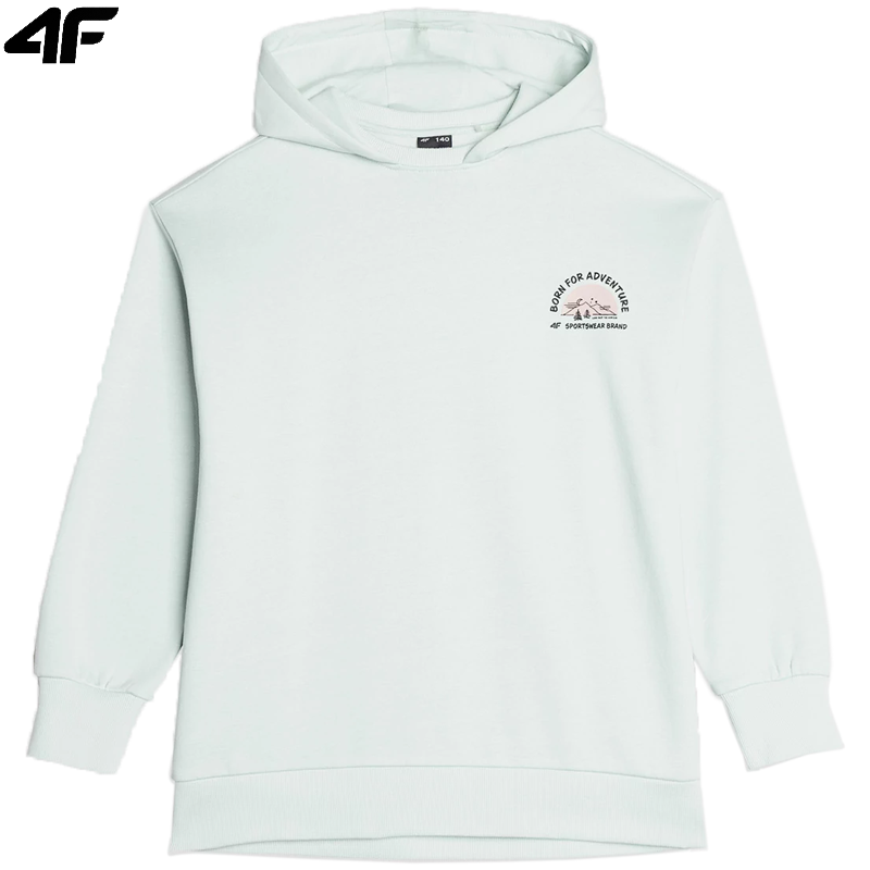 PULLOVER HOODIE F642