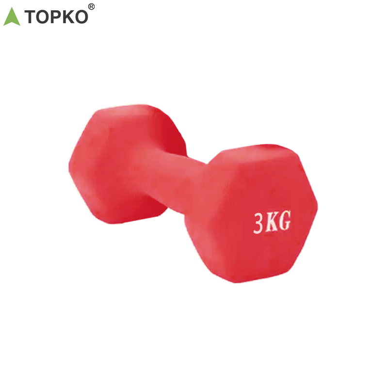 Dumbbell Weights 3.0 kg 1pc