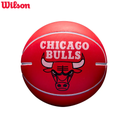 NBA Team Dribbler Basketball / Chicago Bulls