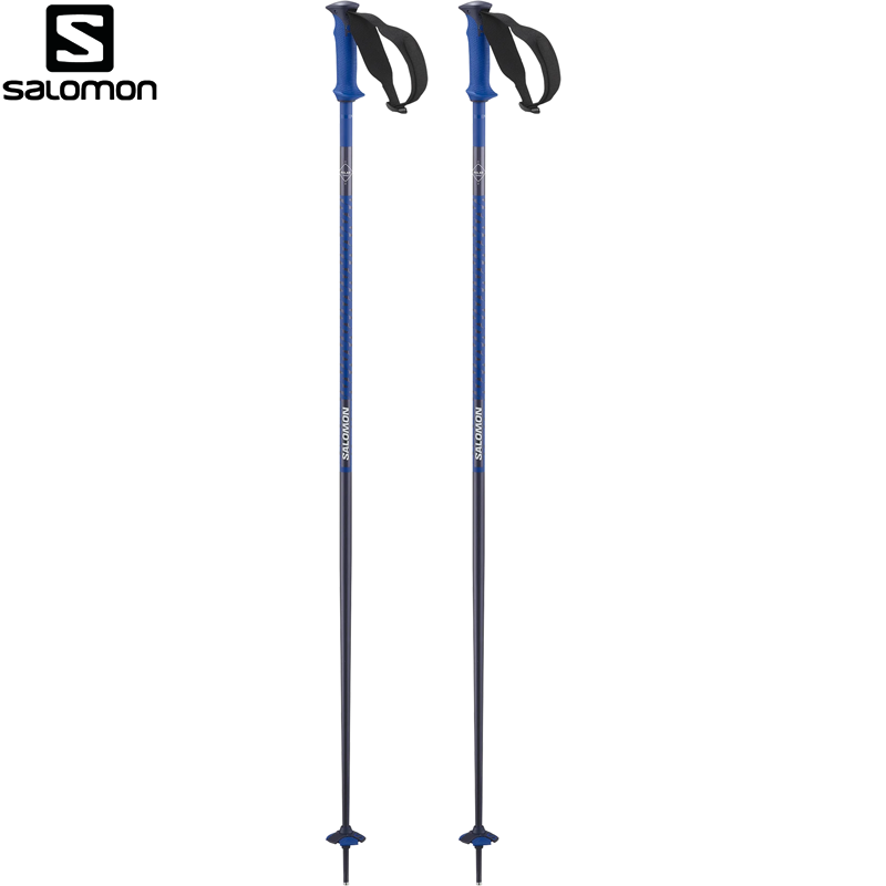 POLES POLAR PRO Race