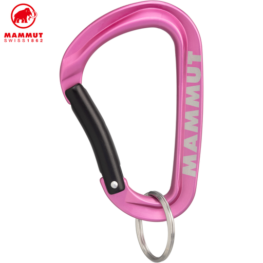 Mammut Mini Carabiner Workhorse Keylock L