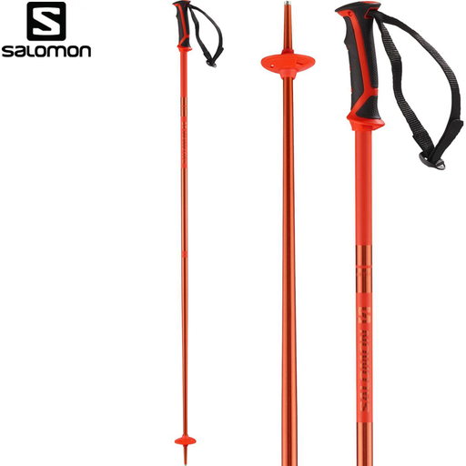 POLES ARCTIC