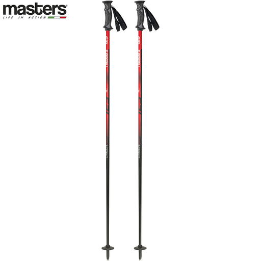Ski Pole R CARBON - COMFORT