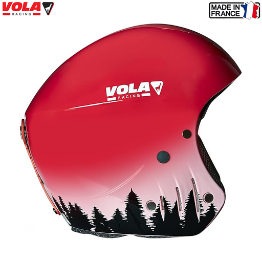HELMET FIS WOOD