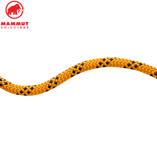 10.0 Performance Static