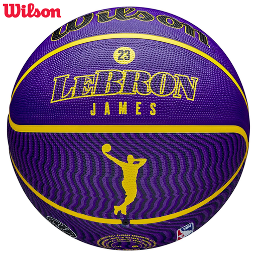 NBA PLAYER ICON OUTDOOR BSKT LEBRON NE 7