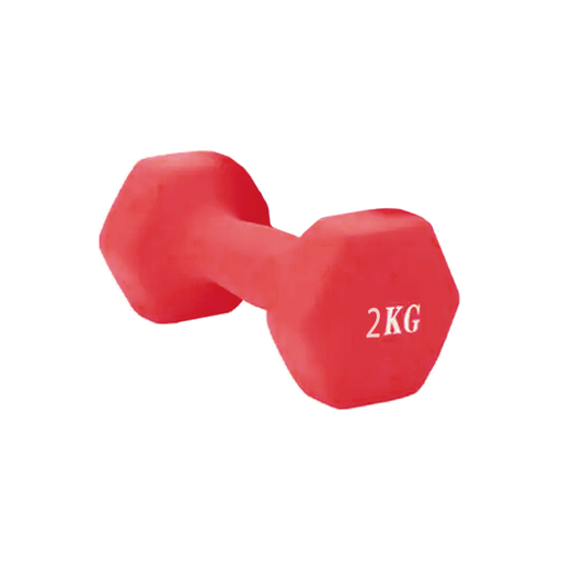 Hand Weight 2 KG