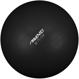 Fitness/Gym Ball · Ø 75 cm ·