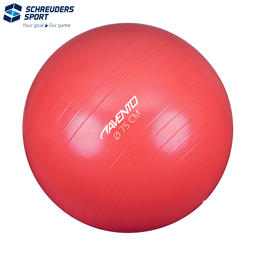 Fitness/Gym Ball · Ø 75 cm ·