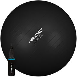 Fitness/Gym Ball + Pump · Ø 65 cm ·