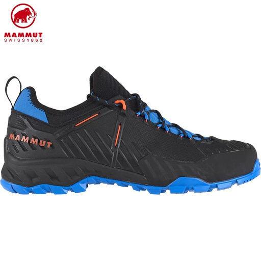 Alnasca Knit II Low GTX Men
