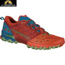 ფერი: SAFFRON/KALE