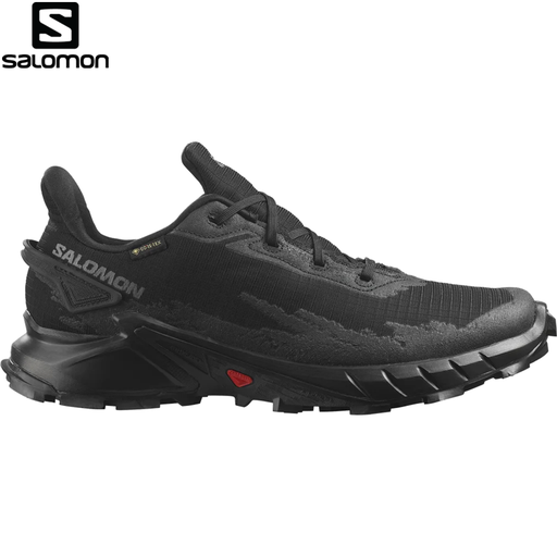 SHOES ALPHACROSS 4 GTX